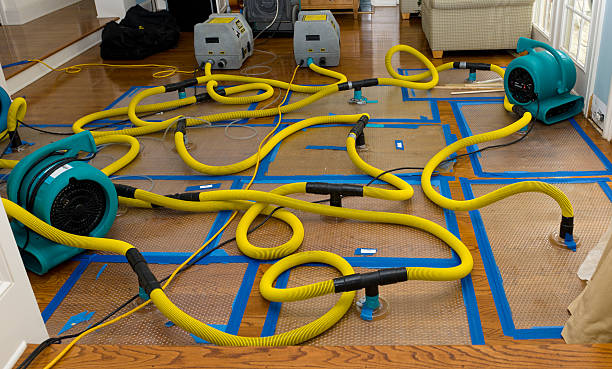 Professional Water Extraction technician working in Gaylord, MN